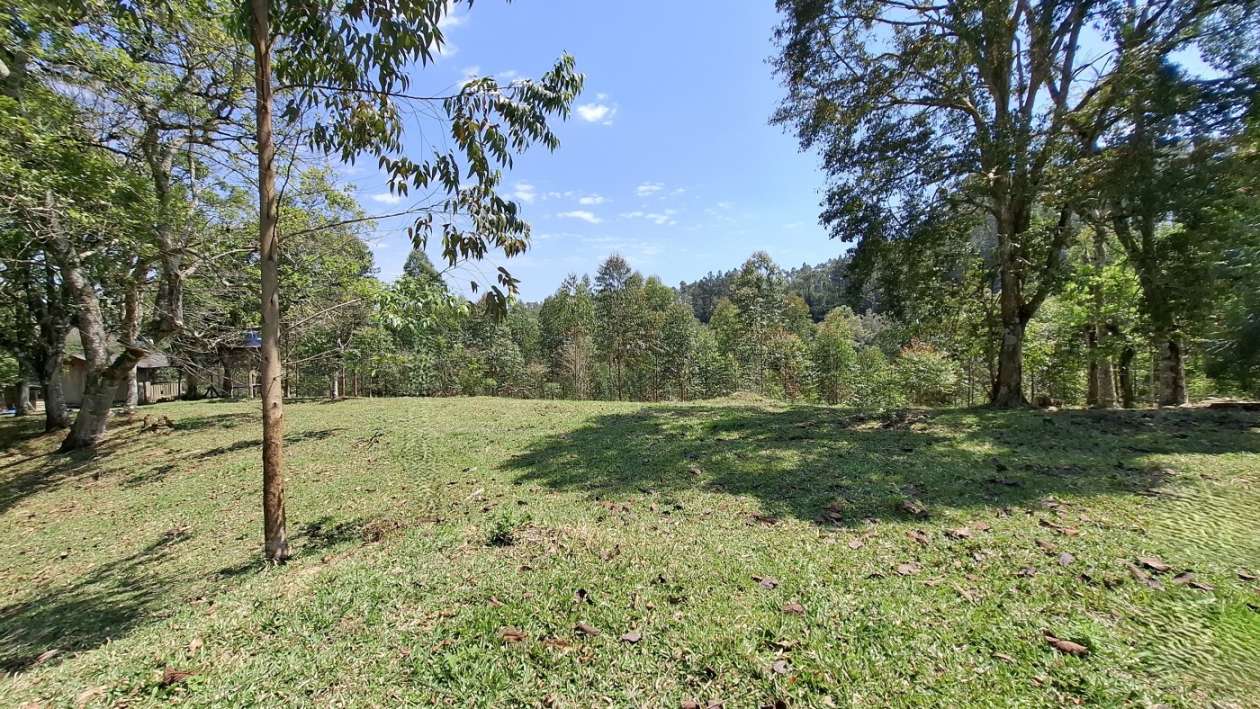 Sítio, 3 quartos, 3 hectares - Foto 32