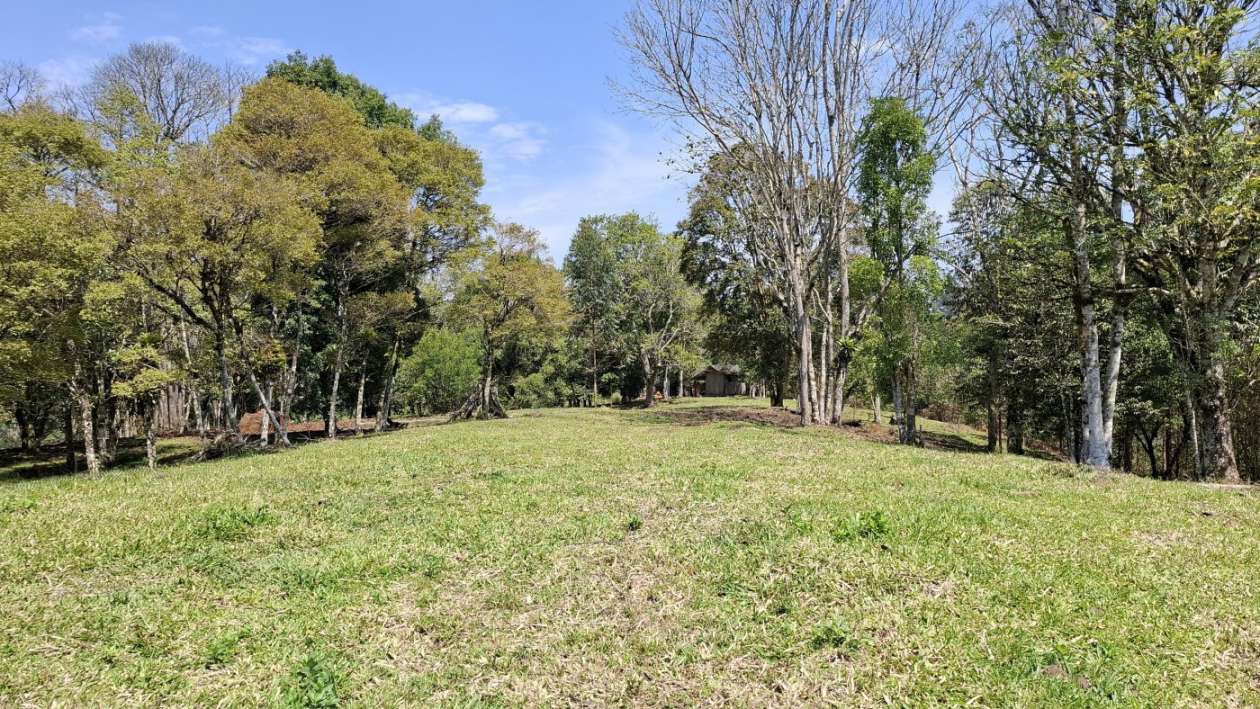 Sítio, 3 quartos, 3 hectares - Foto 33