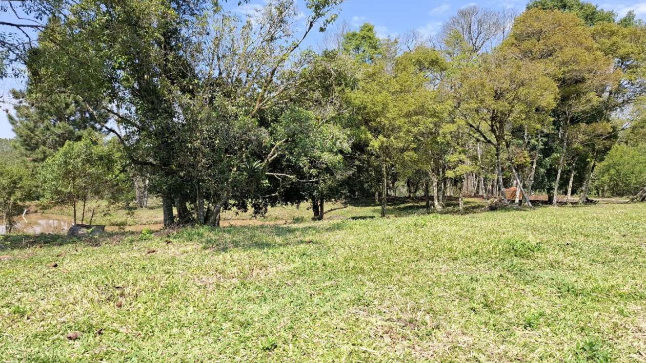 Sítio, 3 quartos, 3 hectares - Foto 34