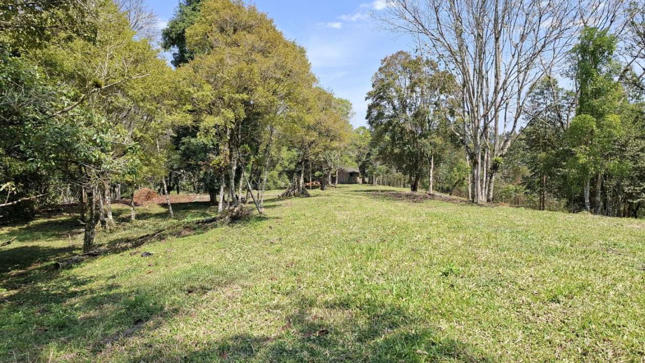 Sítio, 3 quartos, 3 hectares - Foto 35