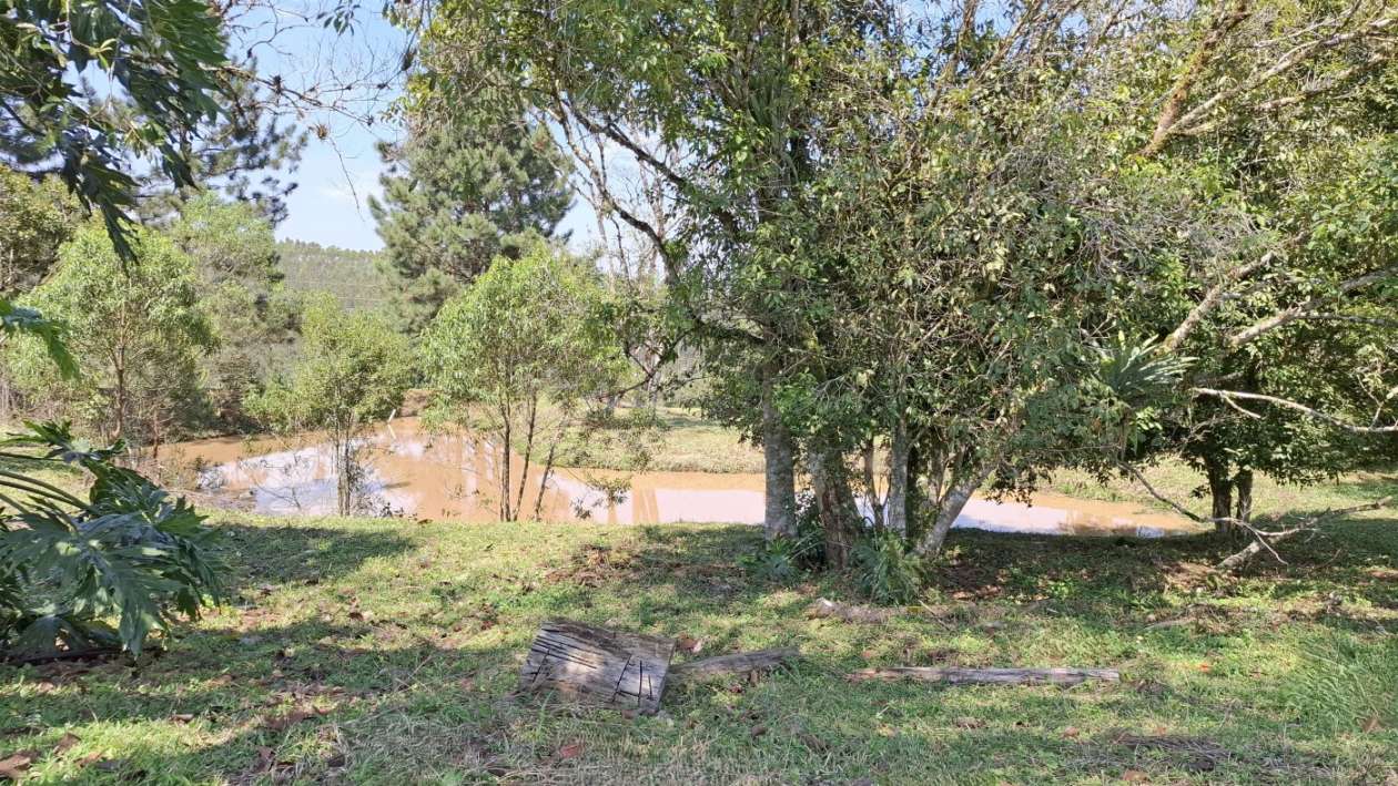 Sítio, 3 quartos, 3 hectares - Foto 37