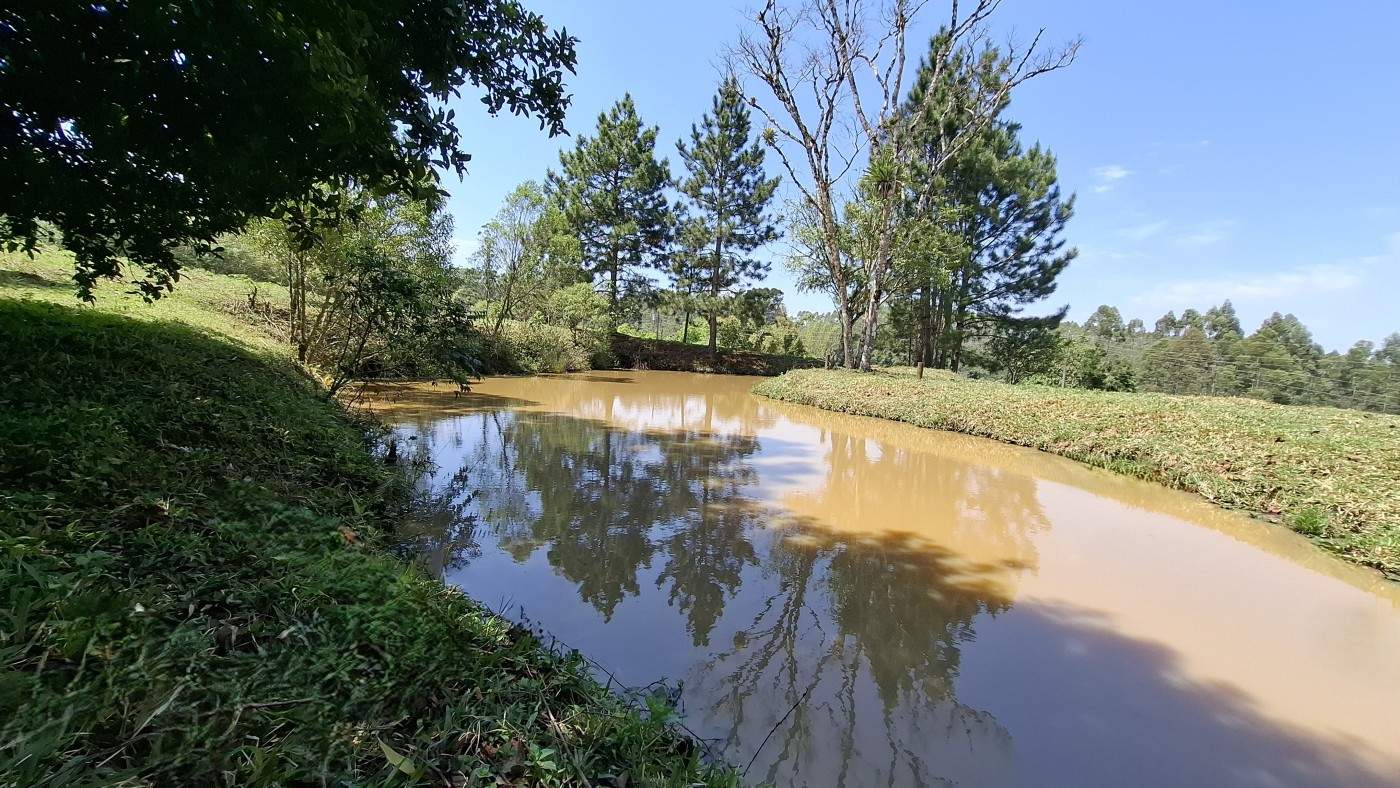 Sítio, 3 quartos, 3 hectares - Foto 38