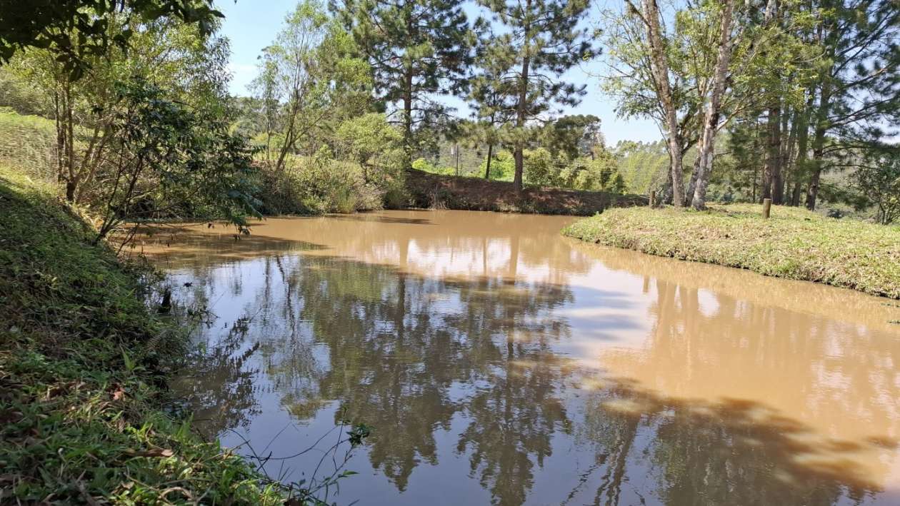 Sítio, 3 quartos, 3 hectares - Foto 39