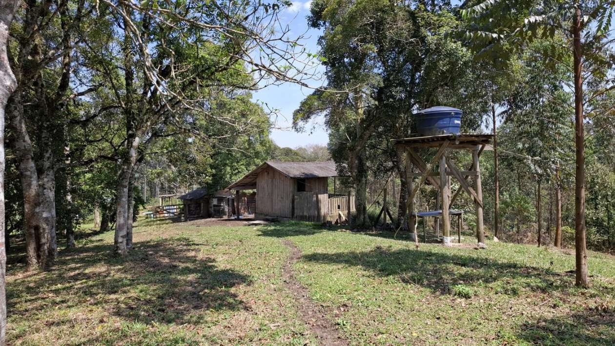 Sítio, 3 quartos, 3 hectares - Foto 40