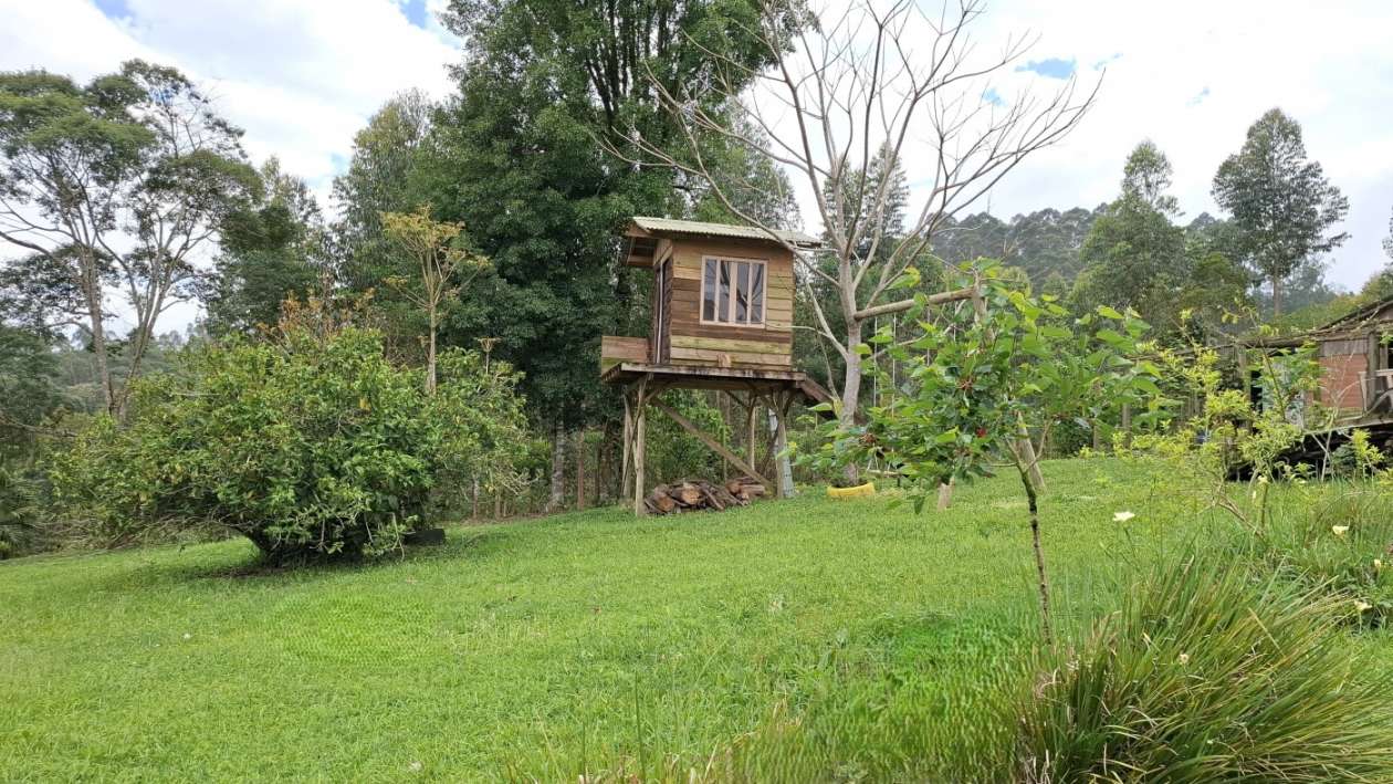 Sítio, 3 quartos, 3 hectares - Foto 43