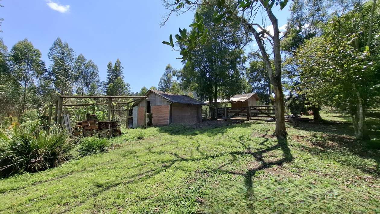 Sítio, 3 quartos, 3 hectares - Foto 45