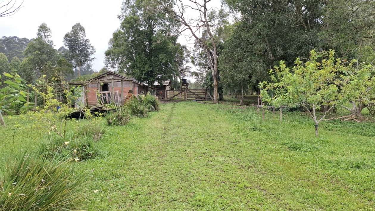 Sítio, 3 quartos, 3 hectares - Foto 46