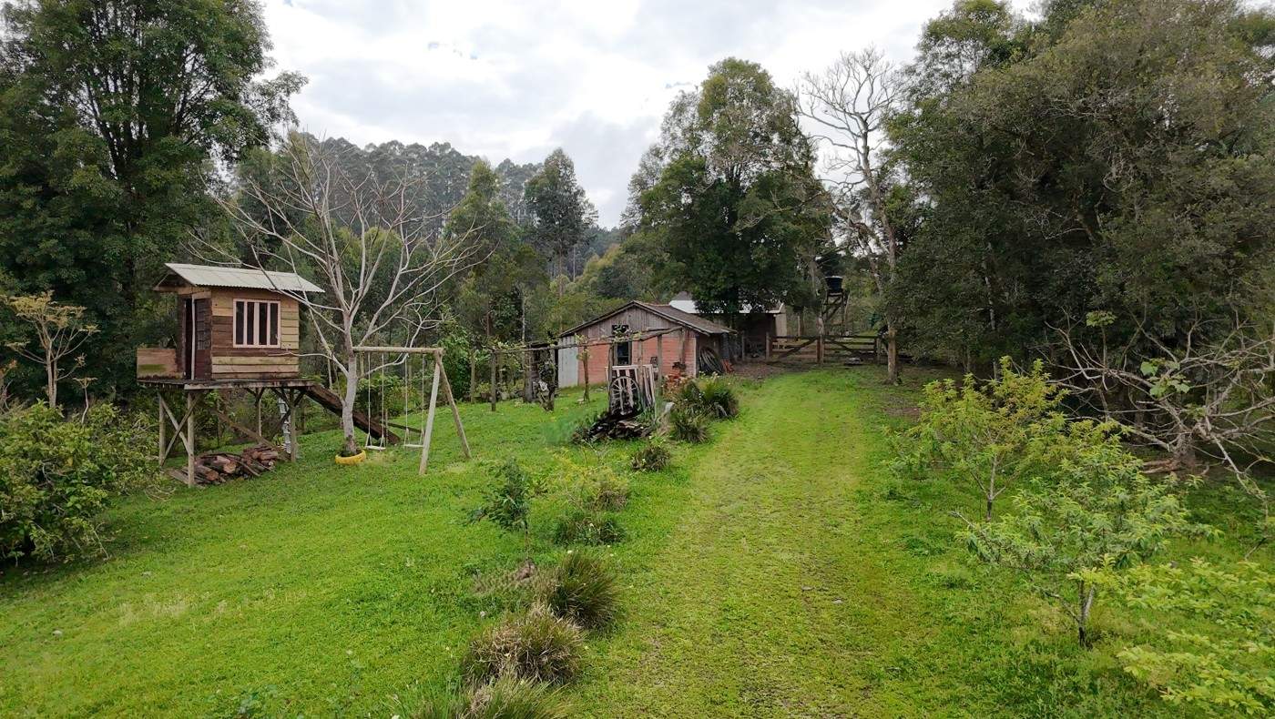 Sítio, 3 quartos, 3 hectares - Foto 47