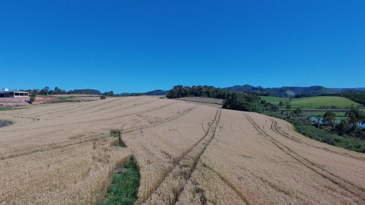 Prédio Inteiro - Foto 31