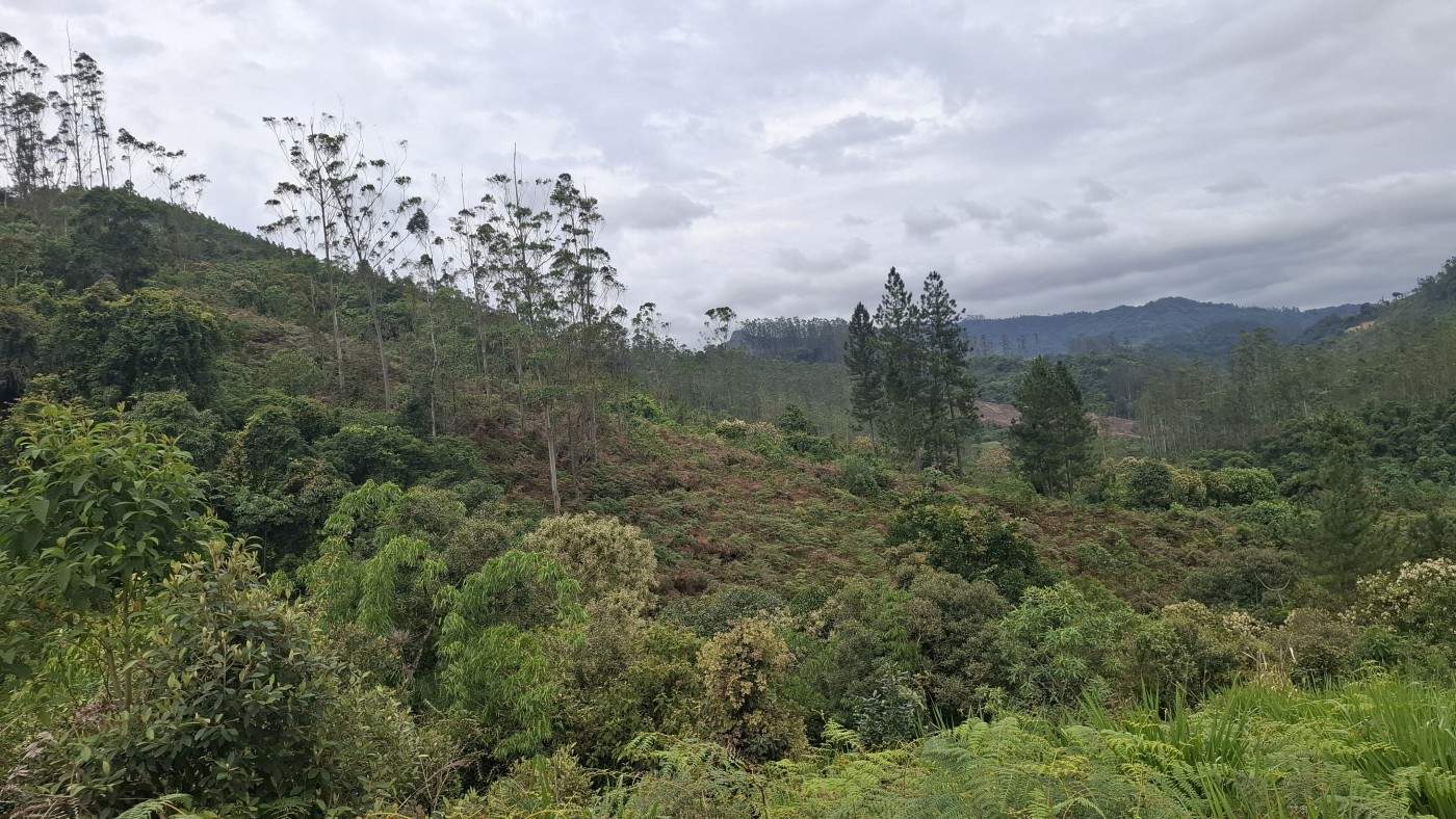 Sítio, 13 hectares - Foto 27