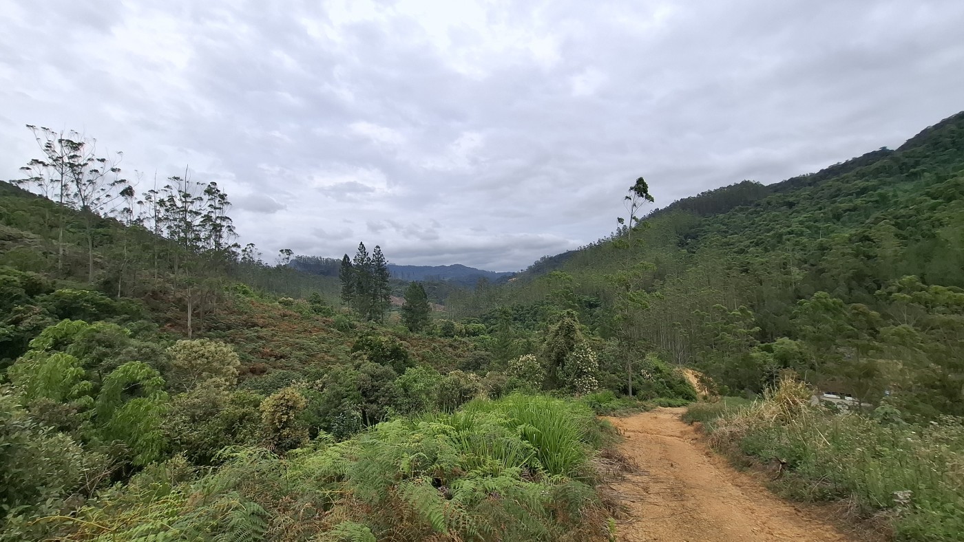 Sítio, 13 hectares - Foto 28