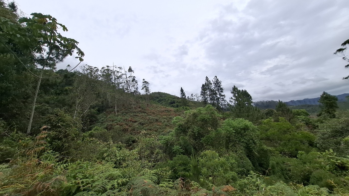 Sítio, 13 hectares - Foto 30