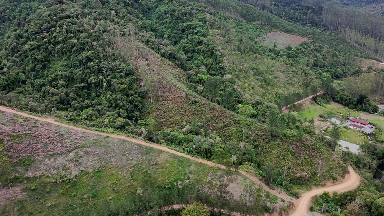 Sítio, 13 hectares - Foto 1