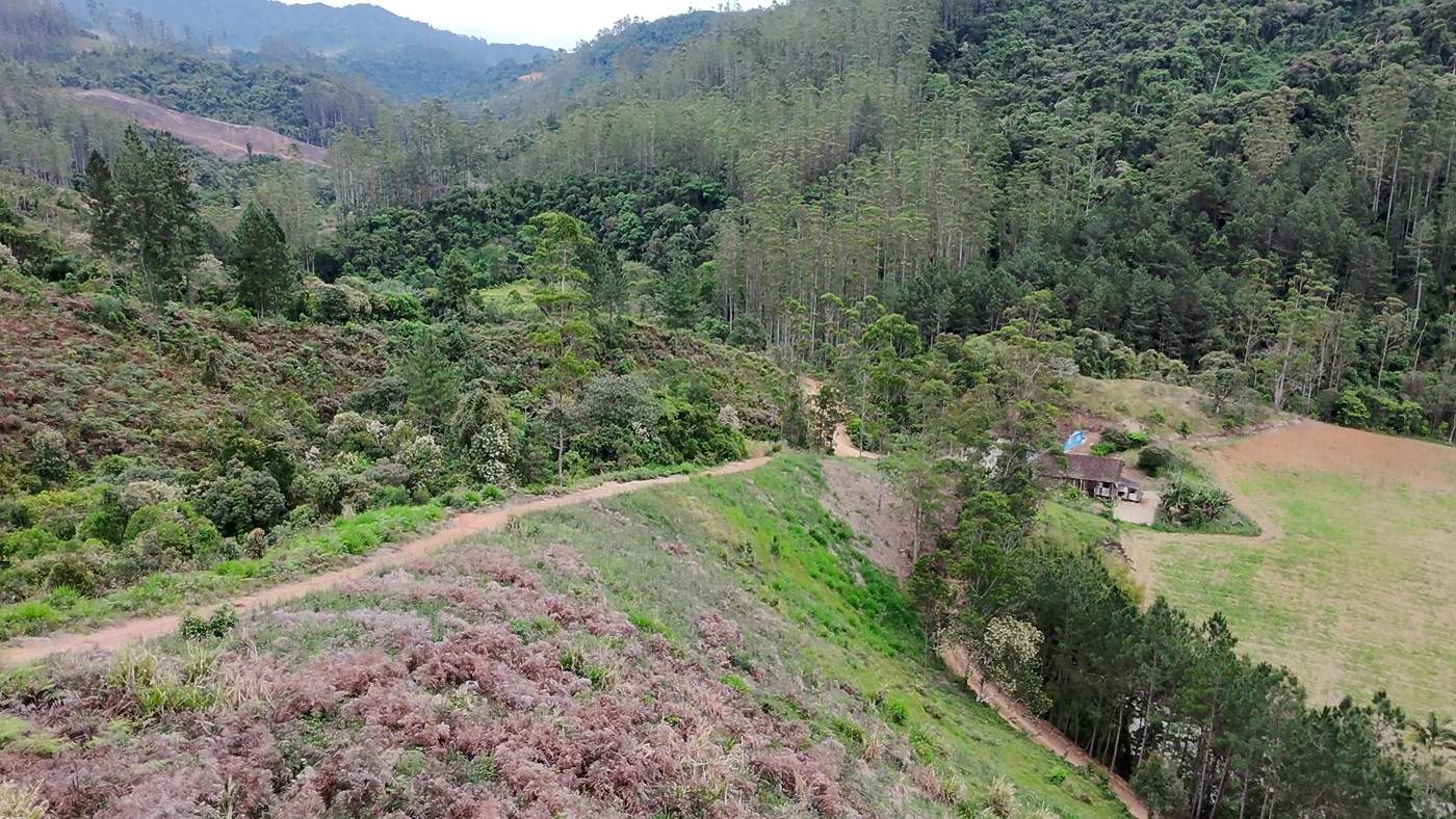 Sítio, 13 hectares - Foto 31