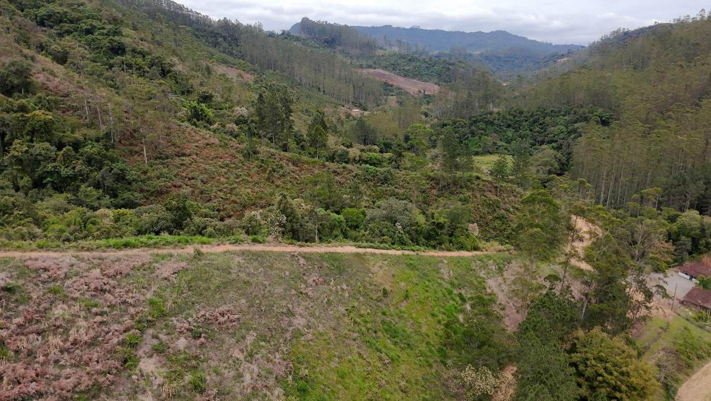 Sítio, 13 hectares - Foto 32