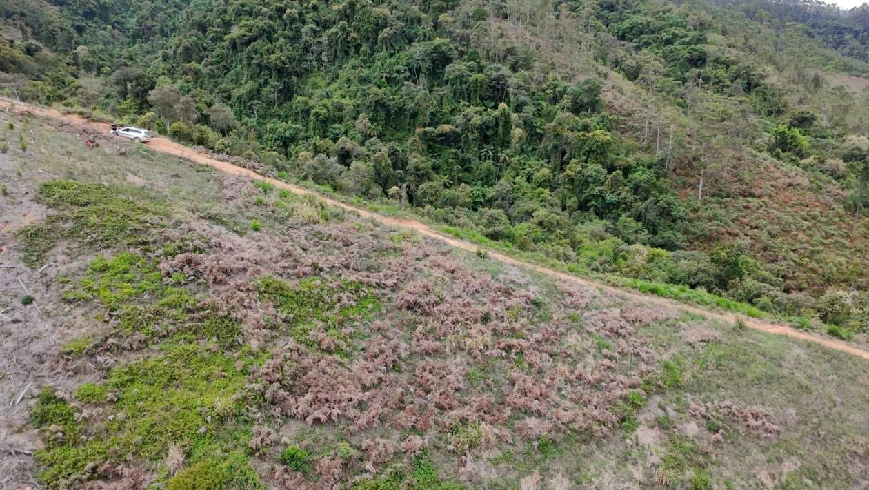 Sítio, 13 hectares - Foto 3