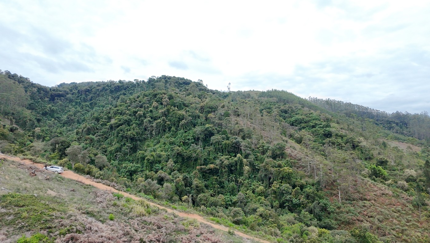 Sítio, 13 hectares - Foto 34