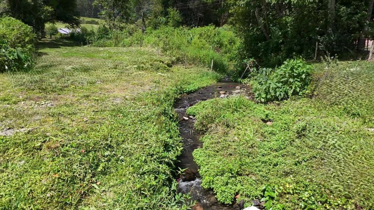 Sítio, 2 quartos, 3 hectares - Foto 31