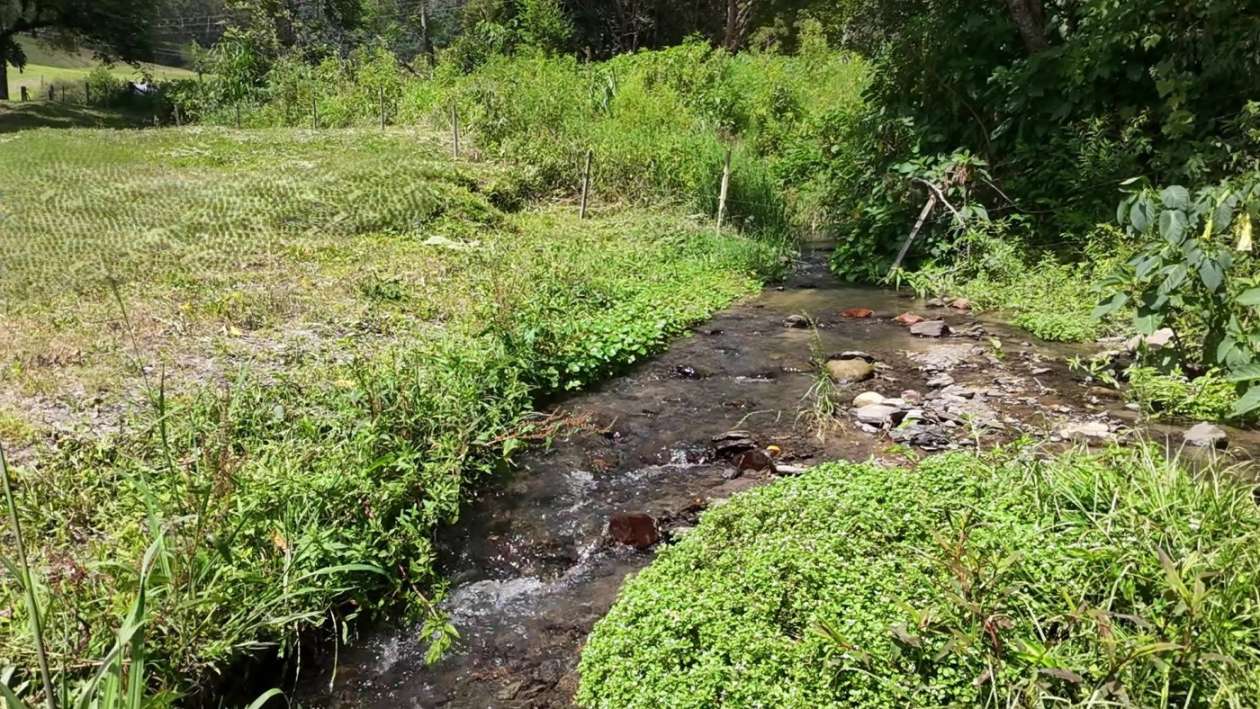 Sítio, 2 quartos, 3 hectares - Foto 33