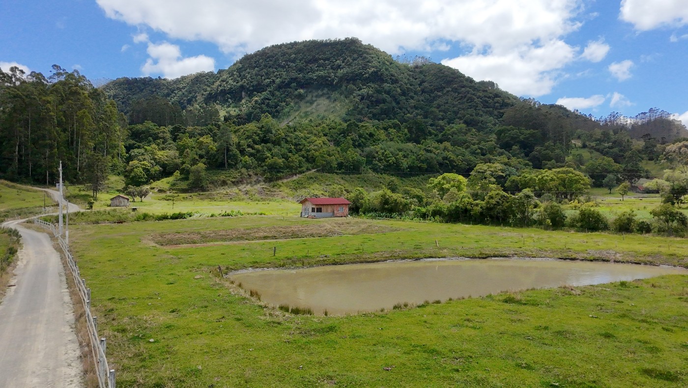 Chácara, 1 quarto, 10000 m² - Foto 23