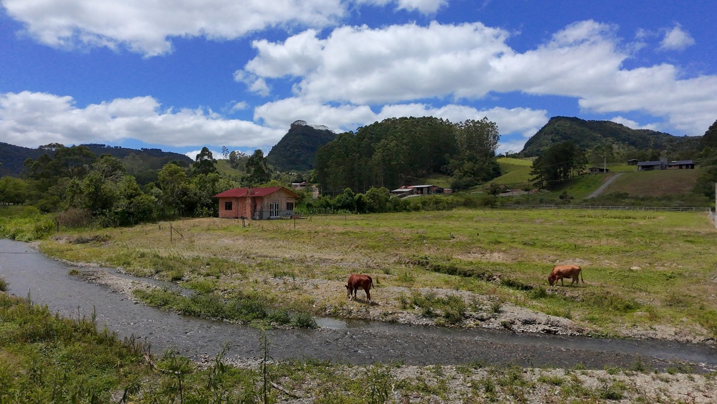 Chácara, 1 quarto, 10000 m² - Foto 27