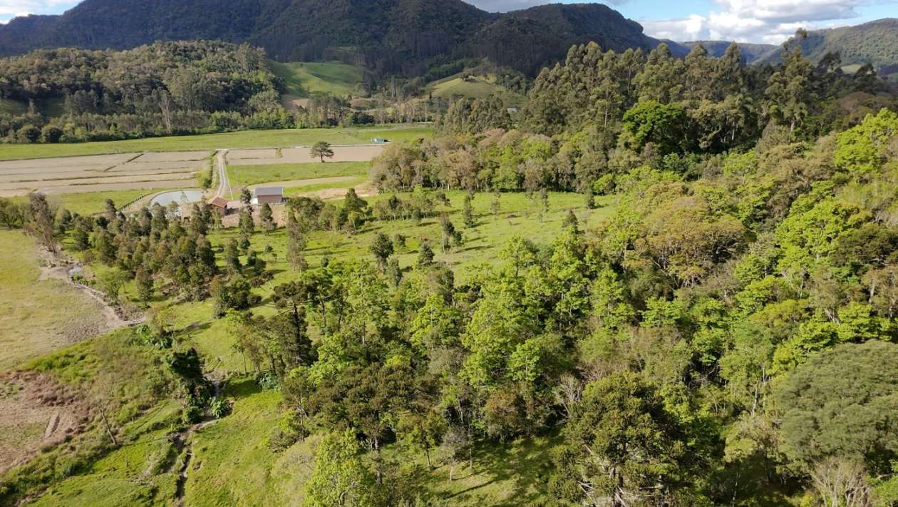 Terreno, 4 hectares - Foto 32