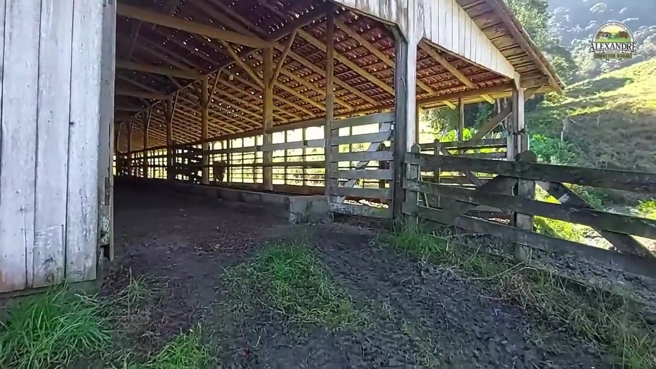 Fazenda, 36 hectares - Foto 38