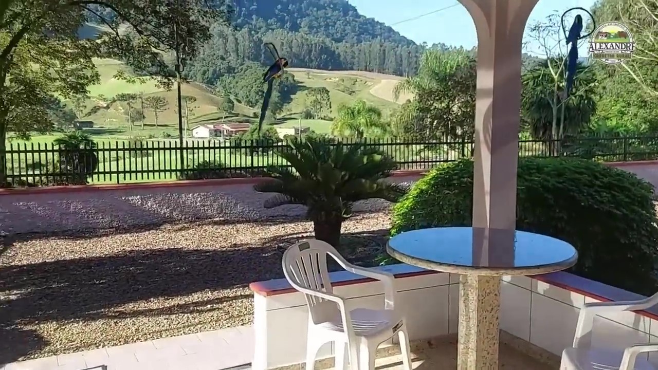 Fazenda, 36 hectares - Foto 40