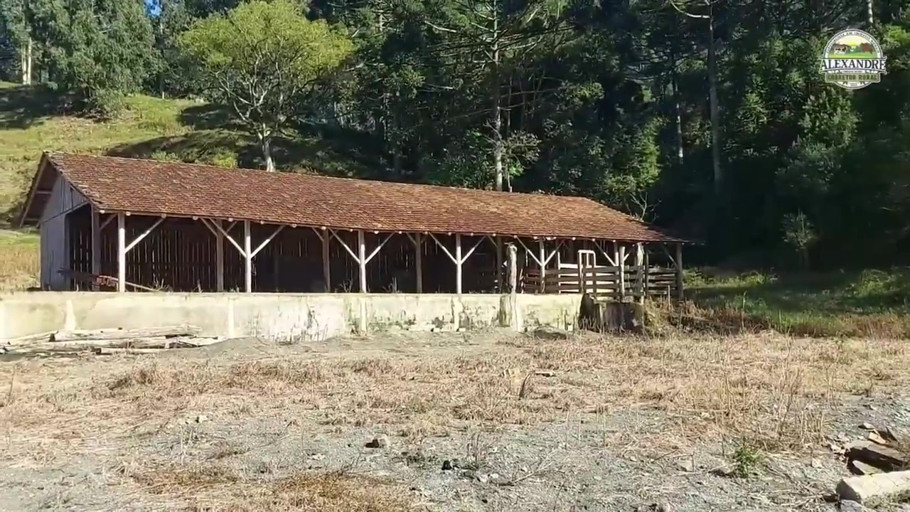 Fazenda, 36 hectares - Foto 47