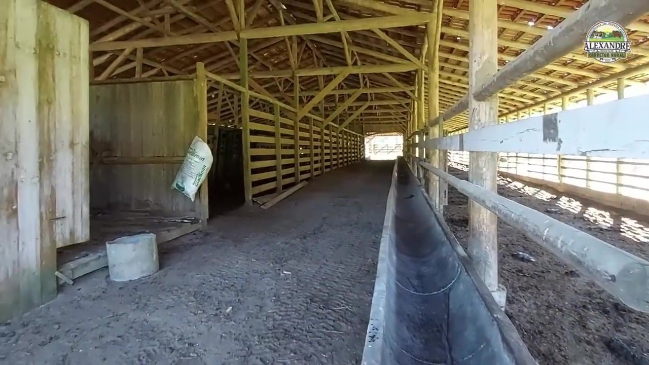 Fazenda, 36 hectares - Foto 50