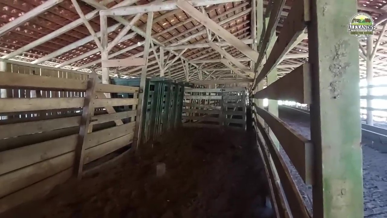 Fazenda, 36 hectares - Foto 49