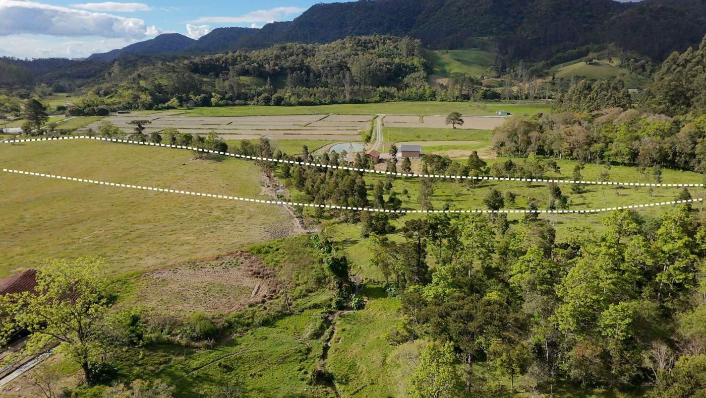 Terreno, 2 hectares - Foto 4