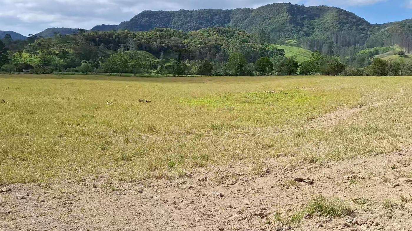 Terreno, 2 hectares - Foto 6