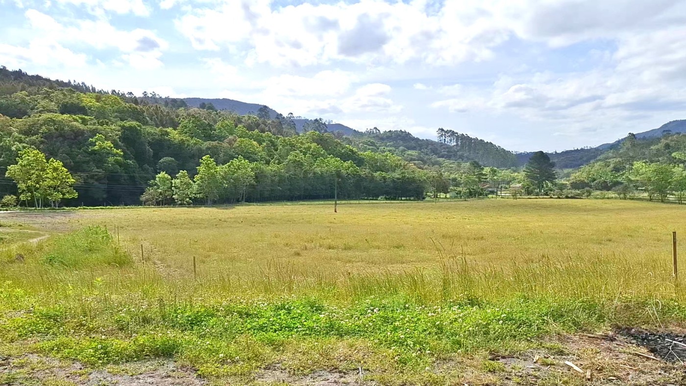 Terreno, 2 hectares - Foto 7