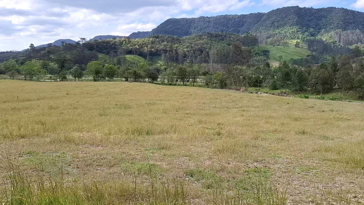 Terreno, 2 hectares - Foto 9