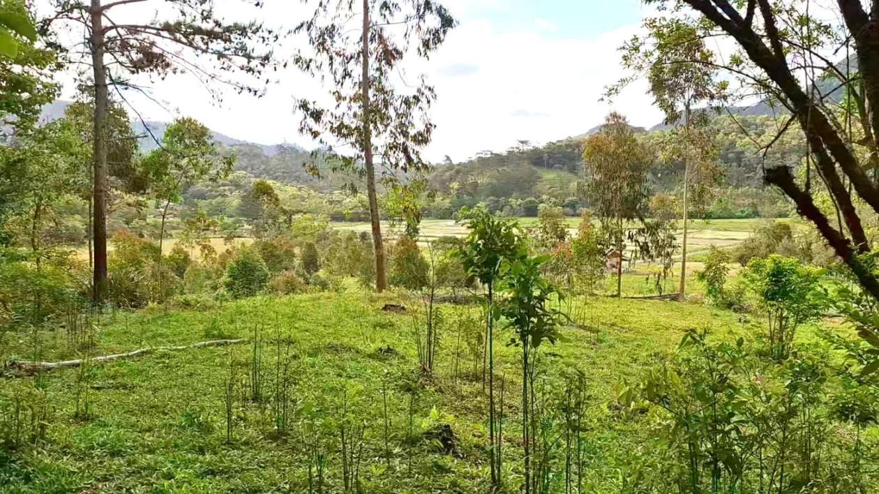 Terreno, 2 hectares - Foto 13