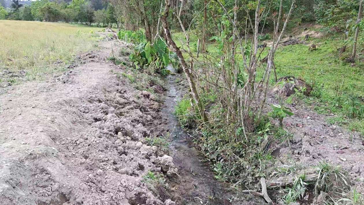 Terreno, 2 hectares - Foto 17