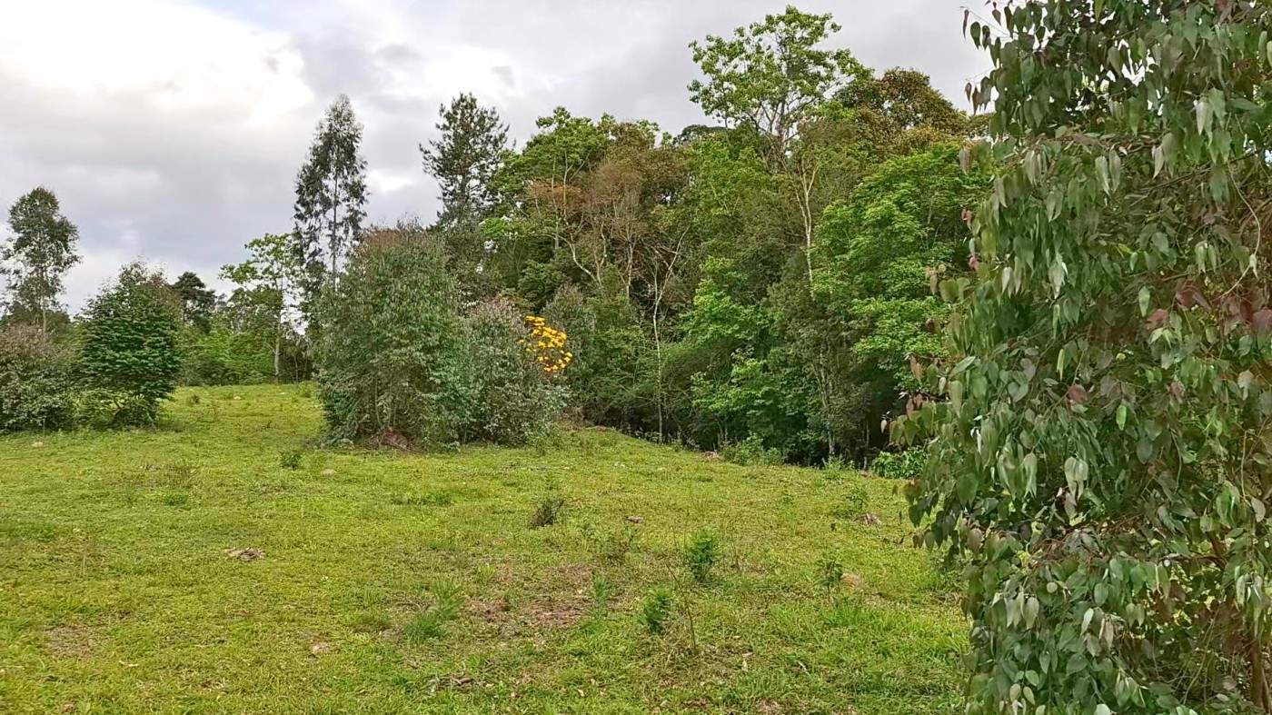 Terreno, 2 hectares - Foto 16