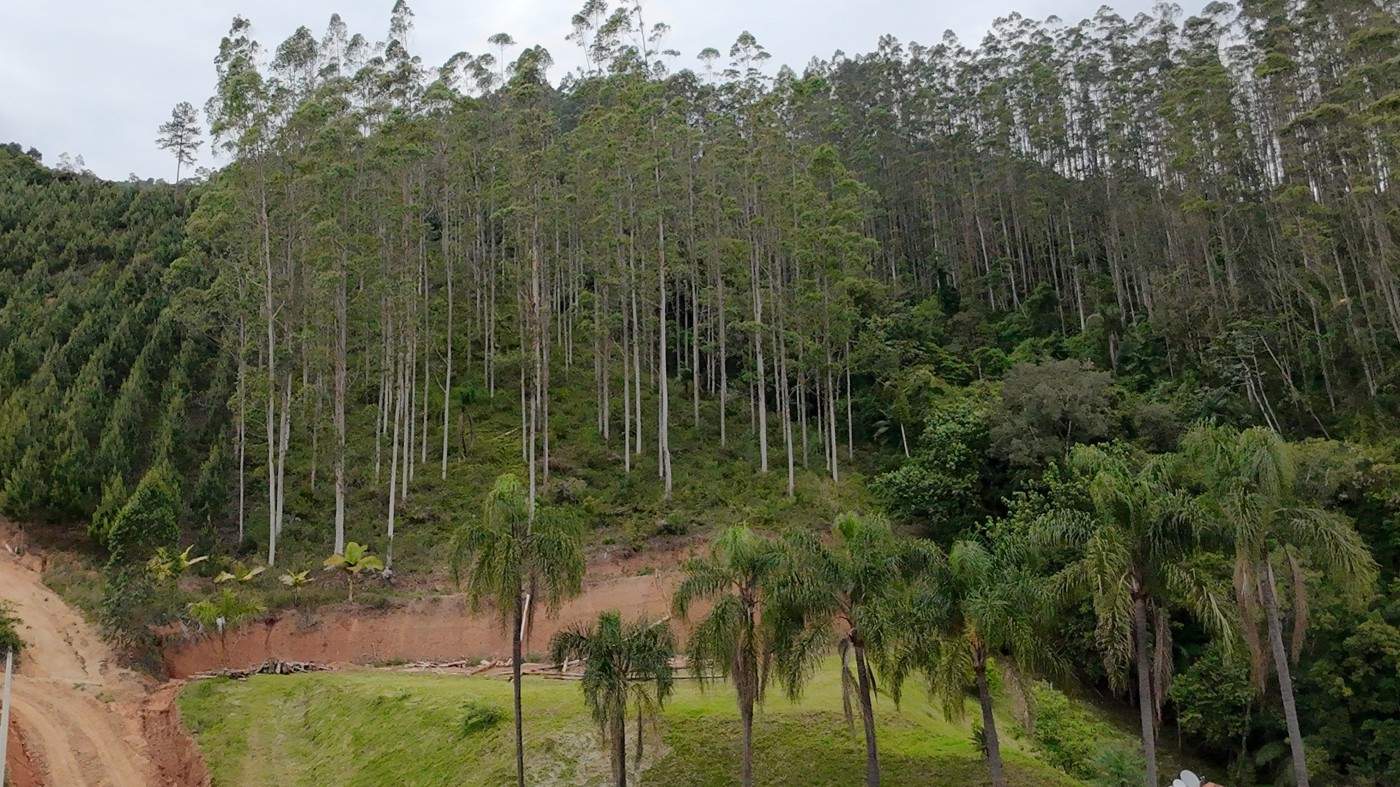 Chácara, 2 quartos, 1 hectares - Foto 36