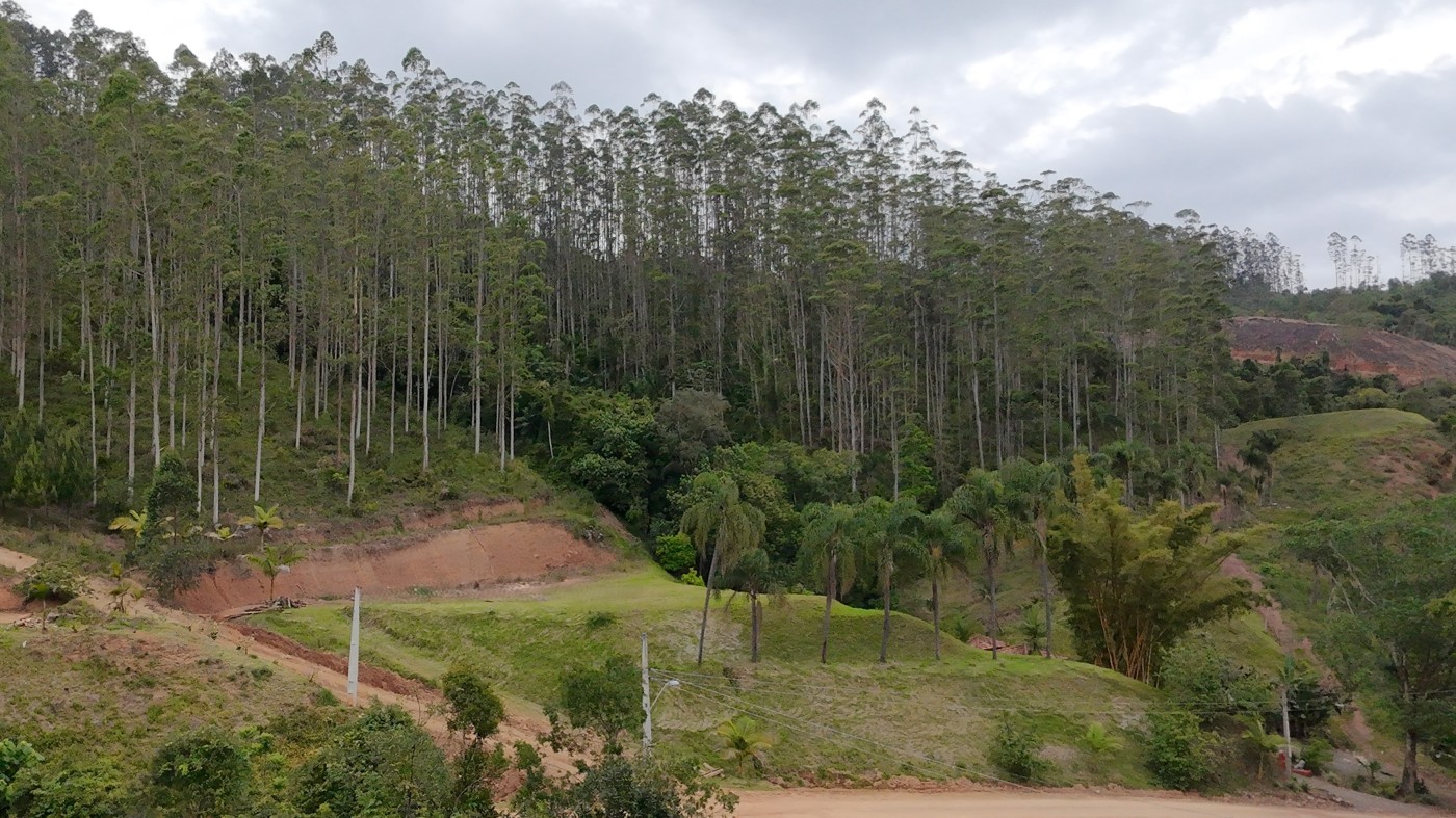 Chácara, 2 quartos, 1 hectares - Foto 38