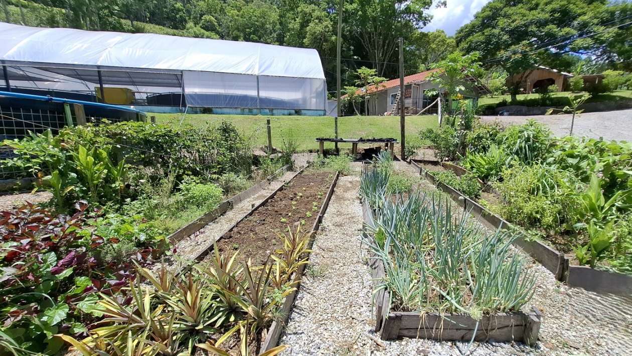 Sítio, 6 quartos, 8 hectares - Foto 35