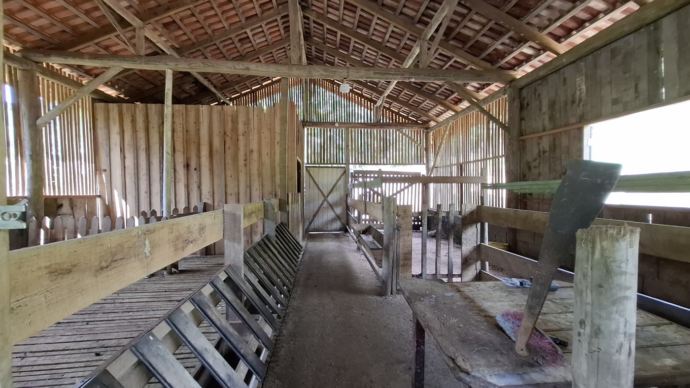 Sítio, 6 quartos, 8 hectares - Foto 38