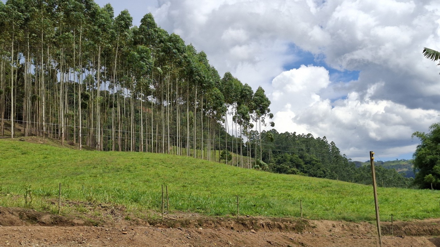 Sítio, 6 quartos, 8 hectares - Foto 47