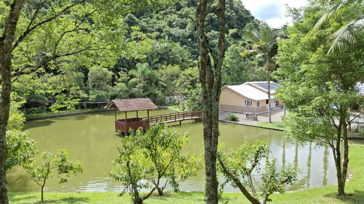 Sítio, 6 quartos, 8 hectares - Foto 42