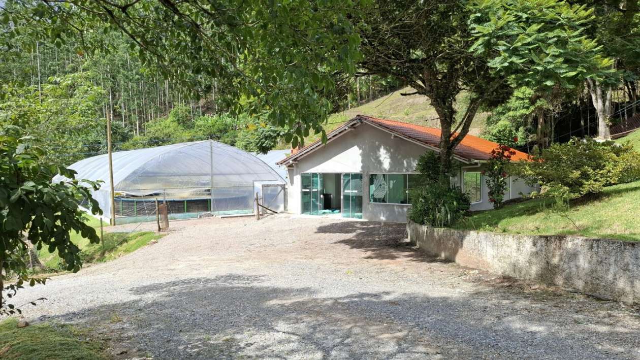 Sítio, 6 quartos, 8 hectares - Foto 23