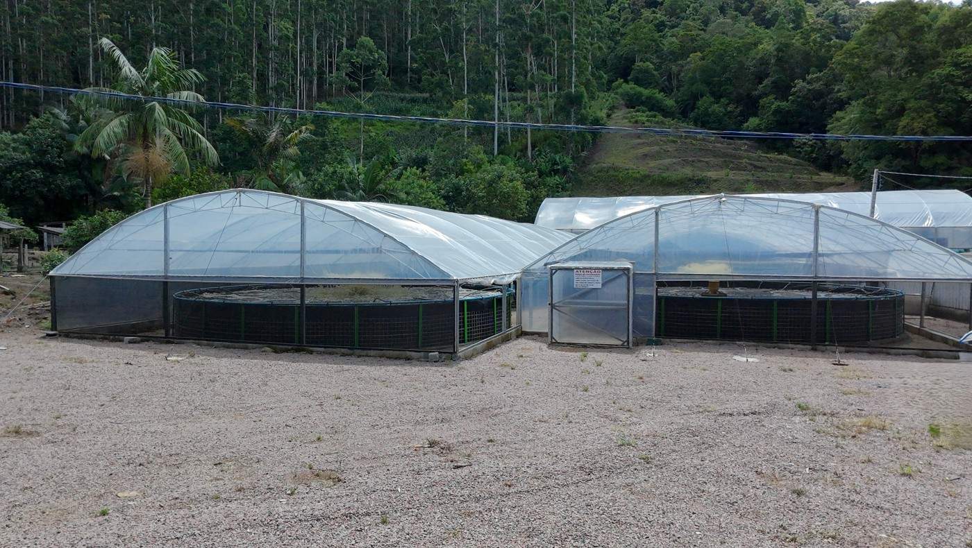 Sítio, 6 quartos, 8 hectares - Foto 4