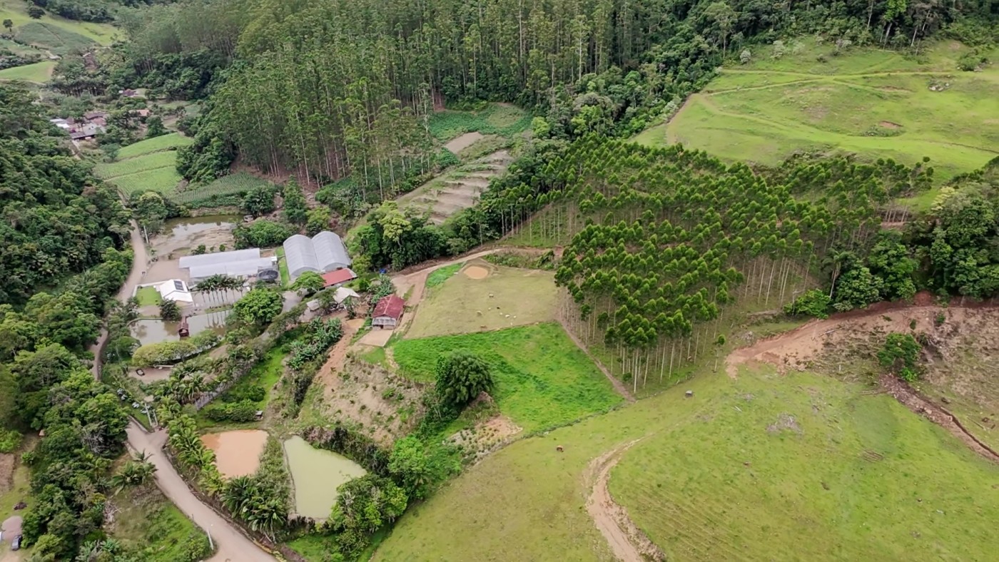 Sítio, 6 quartos, 8 hectares - Foto 45