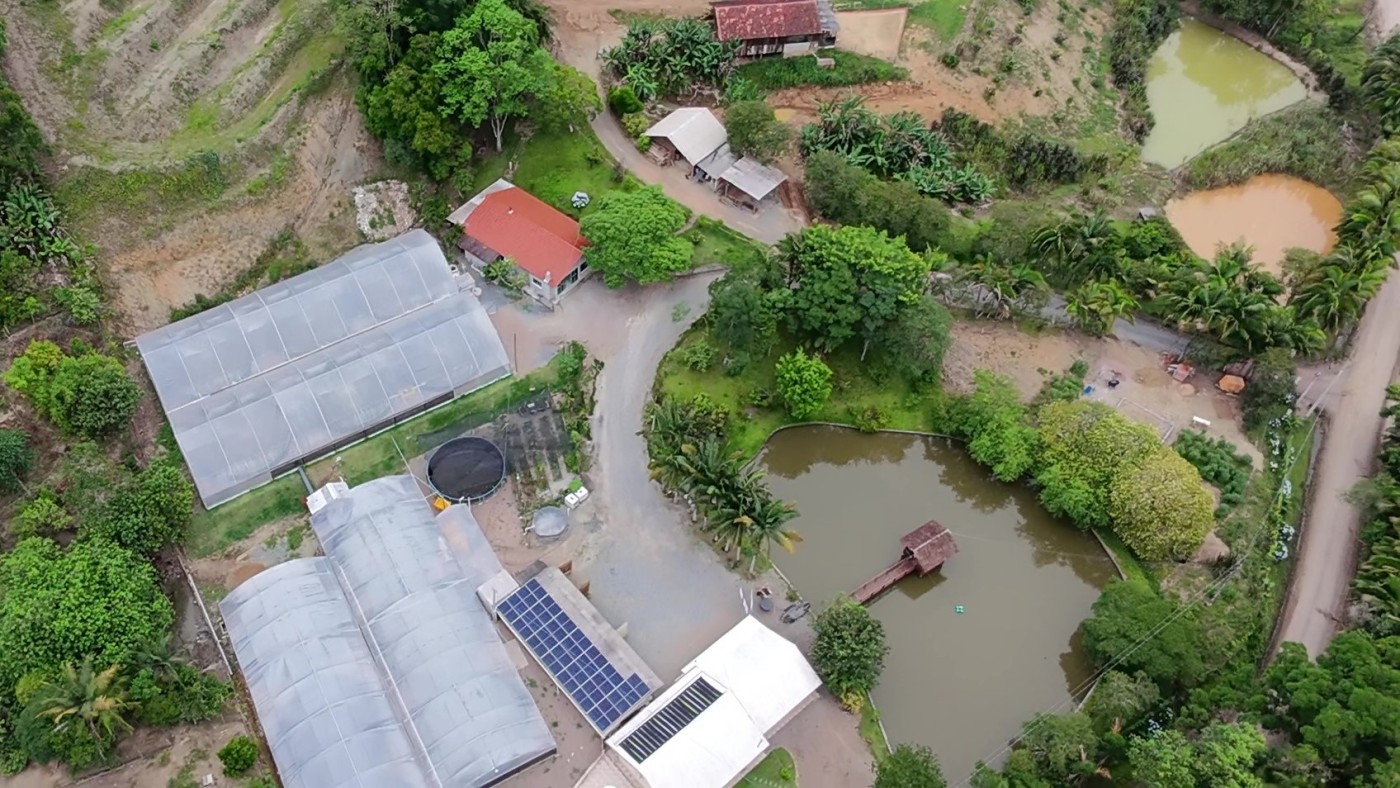 Sítio, 6 quartos, 8 hectares - Foto 3