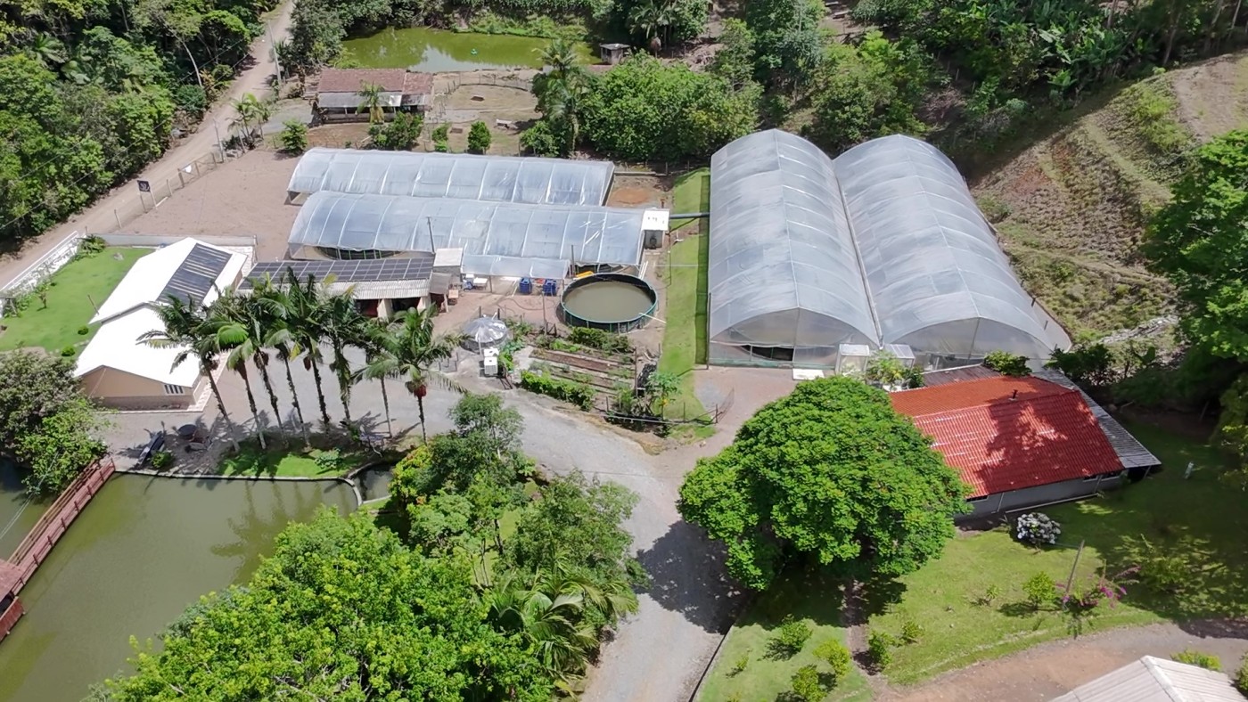 Sítio, 6 quartos, 8 hectares - Foto 1