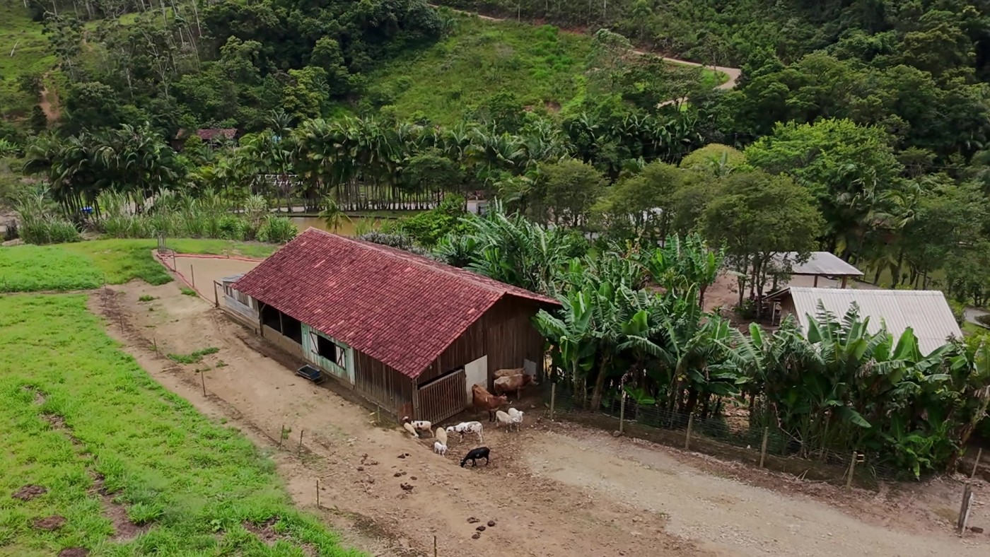 Sítio, 6 quartos, 8 hectares - Foto 37